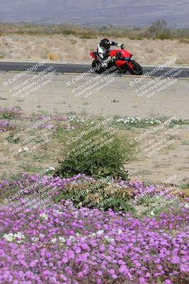 media/Feb-04-2023-SoCal Trackdays (Sat) [[8a776bf2c3]]/Turn 15 Inside Blooming (1050am)/